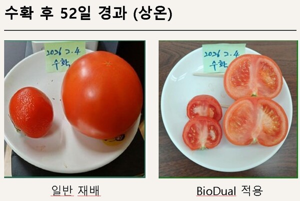 3PLA 적용 대조군 시험  (사진=눈부신자연애바이오)